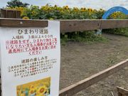 りりぃさんの小川農場の投稿写真1
