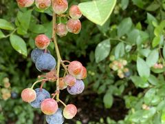 農家民宿 童仙房山荘の写真1