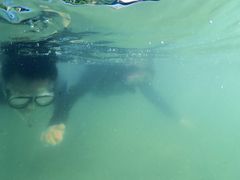 ダイビングショップKIAORAの写真1