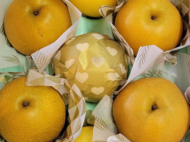 とても大きい梨で、甘みがあり 品種は色々ありました!
梨汁ブッシャー!でしたァ!_清水果樹園