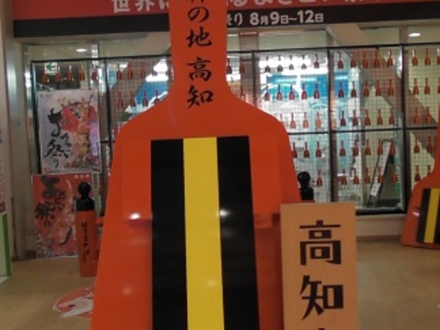 高知空港(高知龍馬空港)