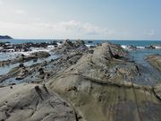 すみっこさんの竜串遊歩道の投稿写真1