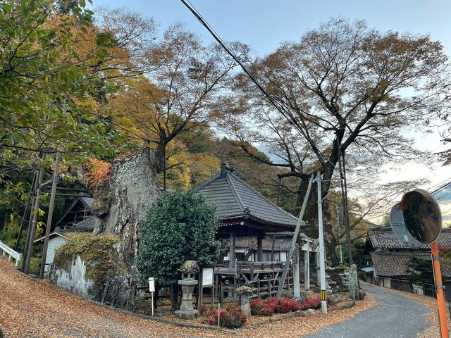 パワースポット?_根古屋神社の大ケヤキ