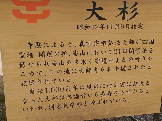 説明板_極楽寺 長命杉