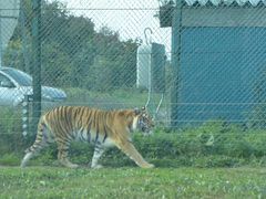 岩手サファリパークの写真2