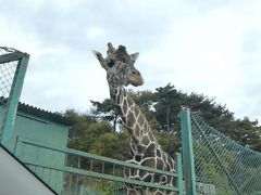 岩手サファリパークの写真4