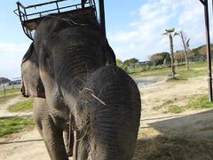 岩手サファリパークの写真5
