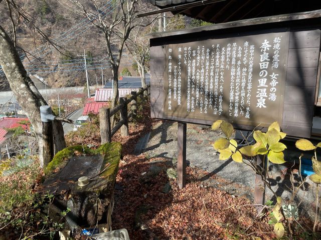 日帰り温泉と蕎麦が食べれる!_奈良田温泉女帝の湯