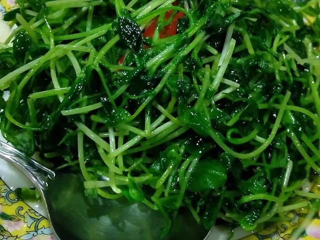 豆苗炒め_華林