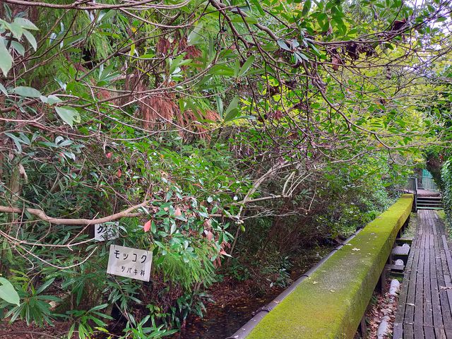 島のまわりは住宅街です_浮島の森