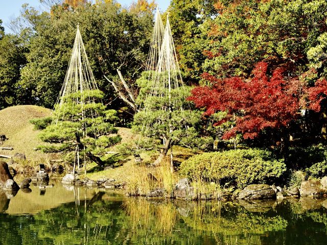 本日に綺麗で、訪れて良かったと思います。
綺麗な状態を維持させている事に敬意と感謝申し上げます。_名勝 養浩館庭園