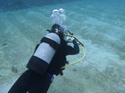 勝さんのY'S DIVE OKINAWAの投稿写真1