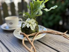 ゆうちゃんさんのcamphor-Jへの投稿写真1