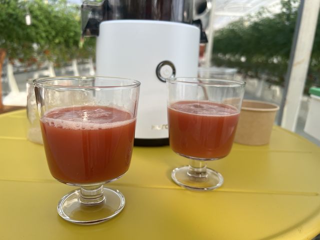 採れたてトマトが飲めました。_おりがみ農園