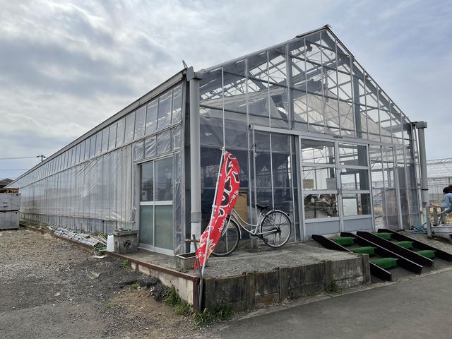 いちごハウス外観_アイアンマイケル