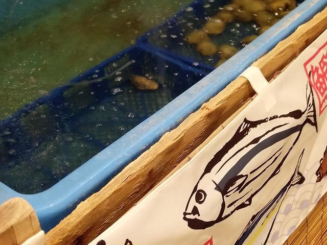 生け簀_清水まぐろと貝焼 馬鹿貝