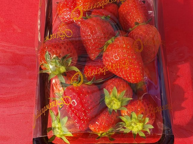 トレイに詰めて持ち帰り(別料金)も可。_ストロベリーファームBERRYBERRYBERRY