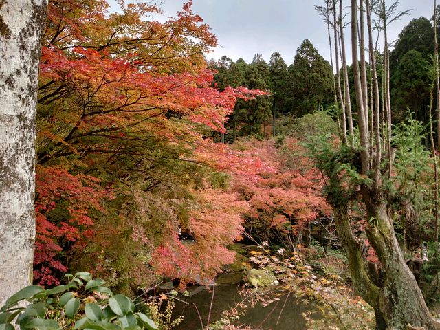 環境芸術の森_環境芸術の森