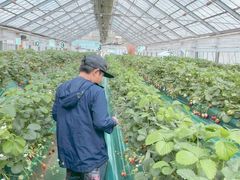 オガケイさんのみつばちファームへの投稿写真1