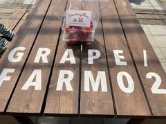 みーこさんのStrawberry Farm No.15 (the Farm UNIVERSAL いちご園)への投稿写真1