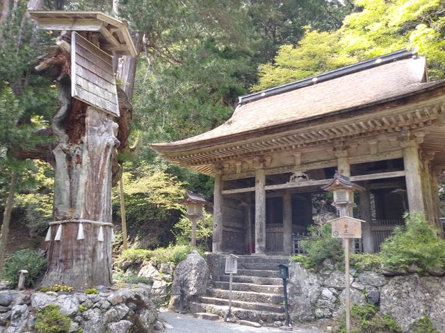 山門から奥は撮影禁止だそうです。_峰定寺