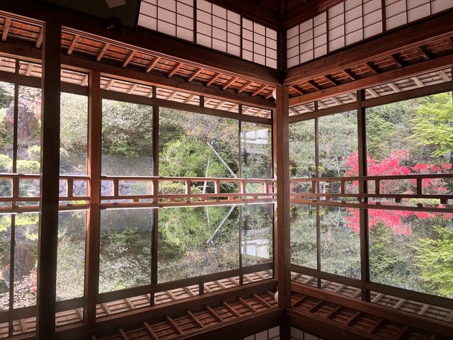 凄く綺麗!_青林寺