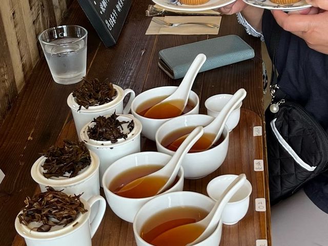 貴重な紅茶のテイスティング_TEAISM SHOP