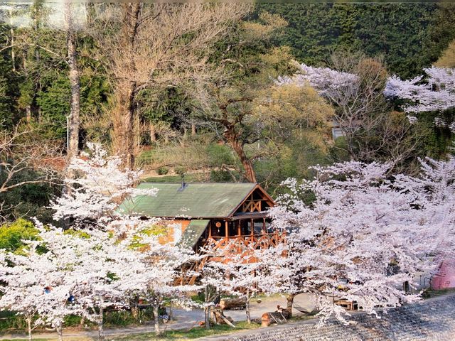 春のともしび_ともしび