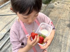 はままつフルーツパーク時之栖の写真1
