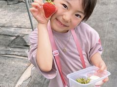 はままつフルーツパーク時之栖の写真4
