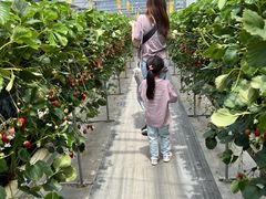 はままつフルーツパーク時之栖の写真5