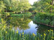 ぷーさんのエドウィン・ダン記念館の投稿写真4