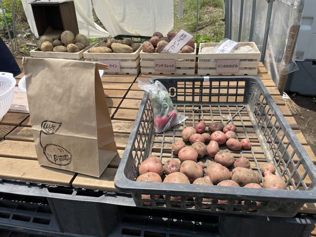 オーナーさんお手製のロゴ入り紙袋_にこfarm