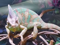 ぷーさんのAQUARIUM×ART atoaへの投稿写真1