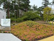 ヌケてるライダーさんの鐘山の滝の投稿写真1