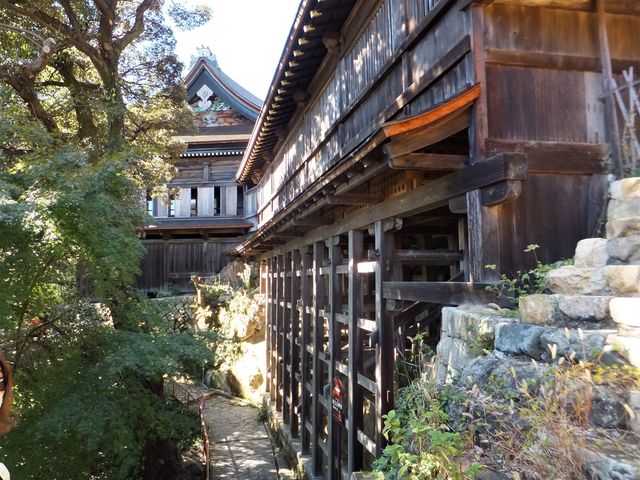都久夫須麻神社側から宝厳寺観音堂方向を望む:土台が掛け造りになっています。_竹生島宝厳寺舟廊下