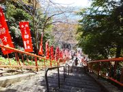 こぼらさんの竹生島宝厳寺弁才天堂の投稿写真5