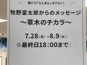 ウッキーさんの東急ハンズ 横浜店の投稿写真1