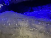 stardust☆さんのワンダーツアーズの投稿写真1