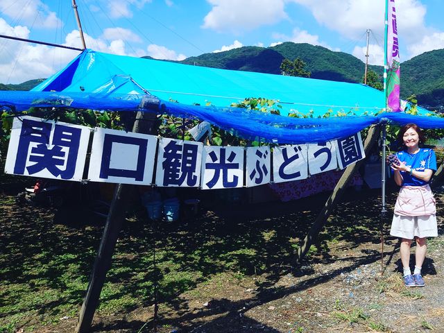 たわわに実った葡萄をご賞味してください!
_関口観光ぶどう園