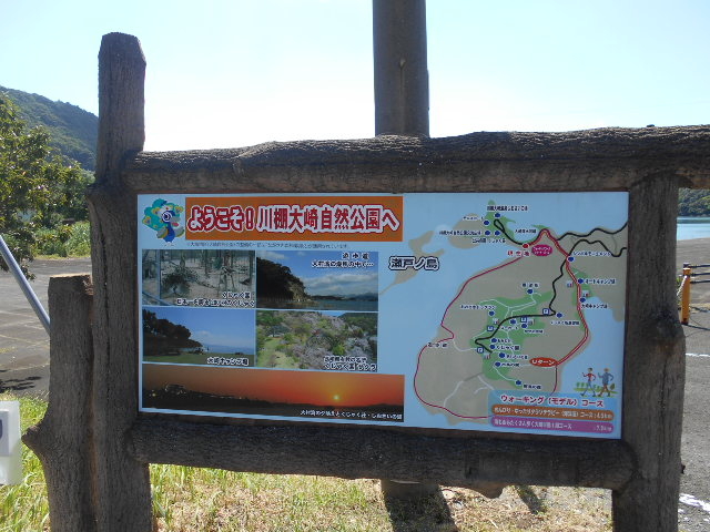 トシローさんの大崎自然公園の投稿写真1
