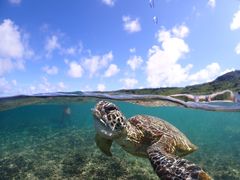 ぽぽさんのOkinawa tripsへの投稿写真1