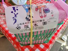 れいちぇるさんの阪本ぶどう狩り園への投稿写真1