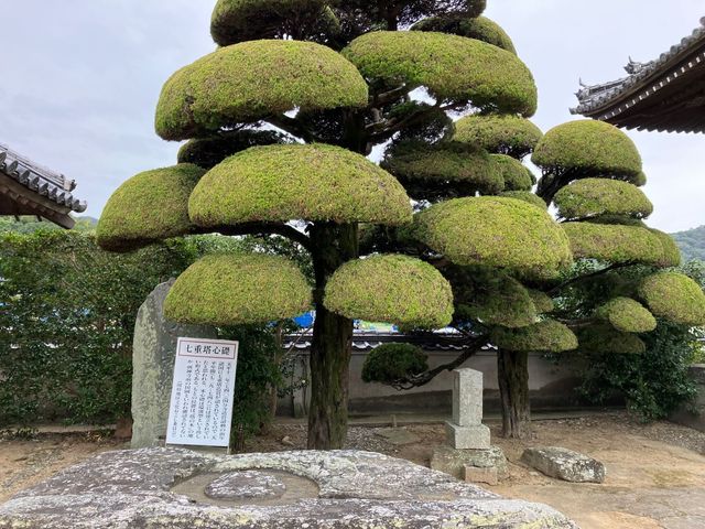 国分寺(徳島県徳島市)