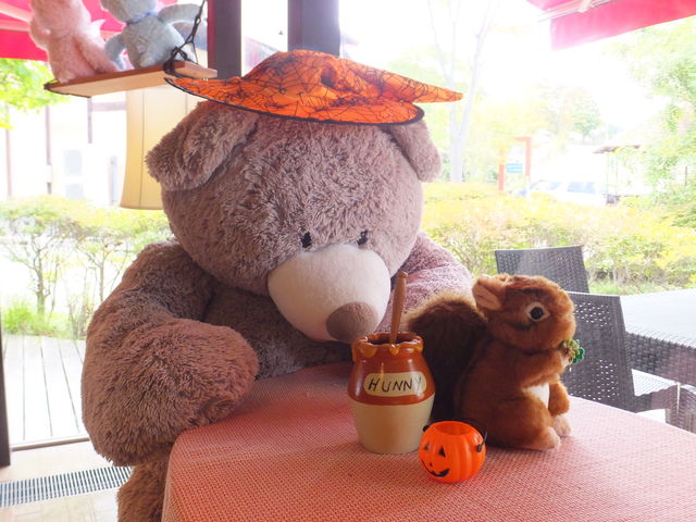 テディベア_リトルベア カフェ&ショップ