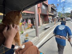 マメシバさんの飛騨高山・観光人力車 ごくらく舎への投稿写真1