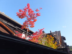 ニコちゃんさんの高山市三町伝統的建造物群保存地区への投稿写真1