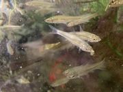 サツキさんの舟渡池公園の投稿写真1