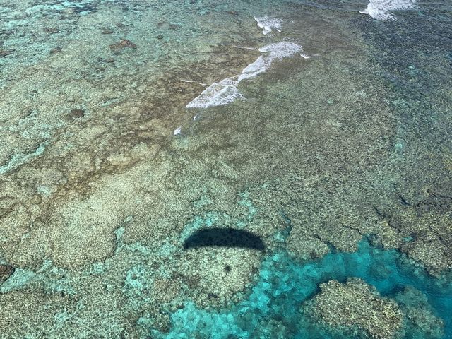 海の青さが際立つ_奄美パラグライダーガイドサービスハッピースカイ