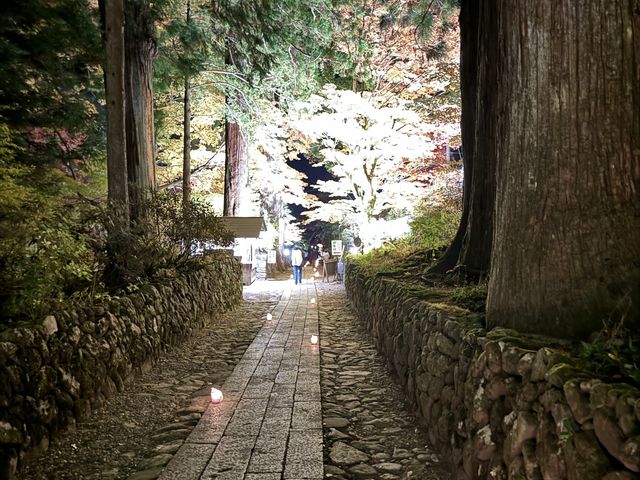 夜の中の紅葉_光前寺の紅葉